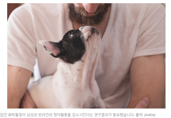 [이웃집과학자] 프탈레이트, 남성·반려견 생식능력 동시에 저하시켜