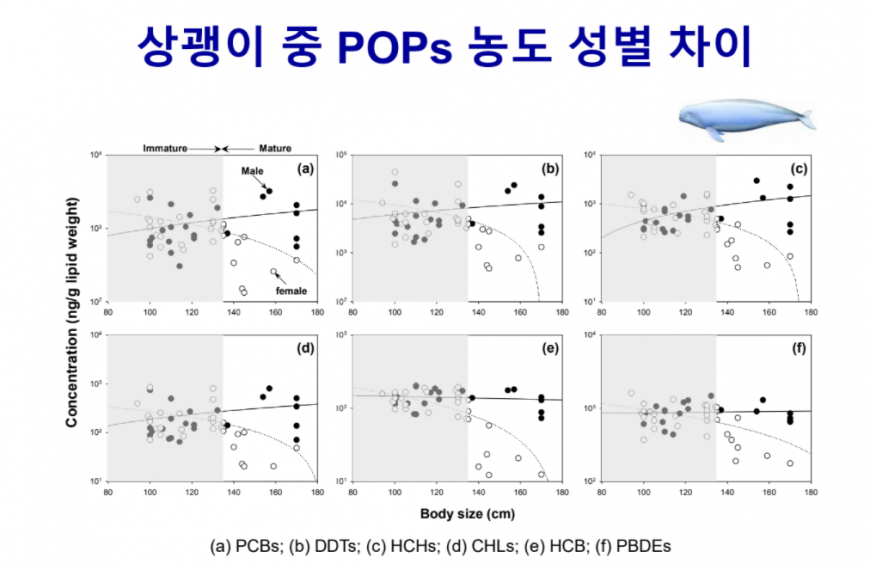 [젠더 유해물질 오픈 특강2] 네버엔딩, 포에버 유해화학물질