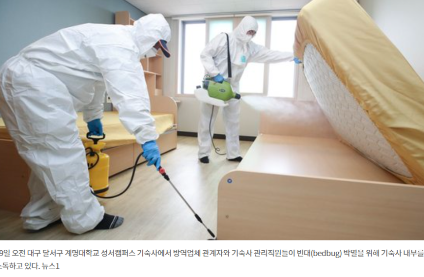 [중앙일보] “살충제 소용없어”…한국 뜬 빈대, 유럽이 치 떠는 그놈이었다