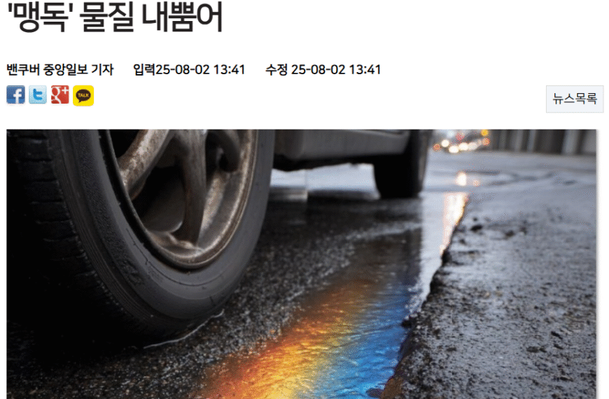 [벤쿠버 중앙일보] 캐나다 | 車 타이어가 강을 죽인다… 빗물에 섞여 ‘맹독’ 물질 내뿜어